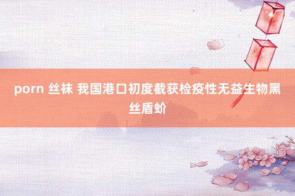 porn 丝袜 我国港口初度截获检疫性无益生物黑丝盾蚧