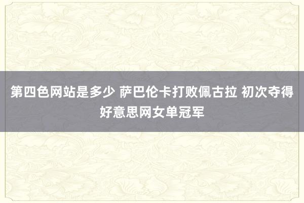 第四色网站是多少 萨巴伦卡打败佩古拉 初次夺得好意思网女单冠军