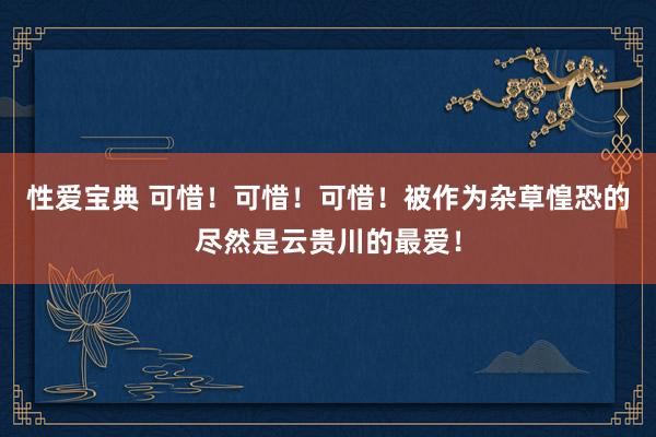 性爱宝典 可惜！可惜！可惜！被作为杂草惶恐的尽然是云贵川的最爱！