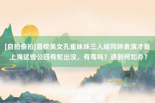 [自拍偷拍]藝校美女孔雀妹妹三人組同時表演才藝 上海这些公园有蛇出没，有毒吗？遇到何如办？