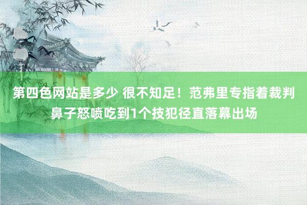 第四色网站是多少 很不知足！范弗里专指着裁判鼻子怒喷吃到1个技犯径直落幕出场