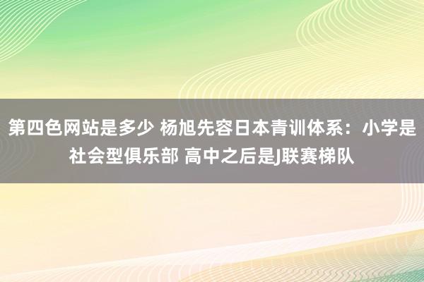 第四色网站是多少 杨旭先容日本青训体系：小学是社会型俱乐部 高中之后是J联赛梯队