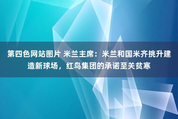 第四色网站图片 米兰主席：米兰和国米齐挑升建造新球场，红鸟集团的承诺至关贫寒